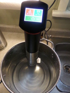 sous vide device