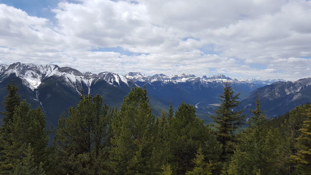 Top of Sulphur Mountain