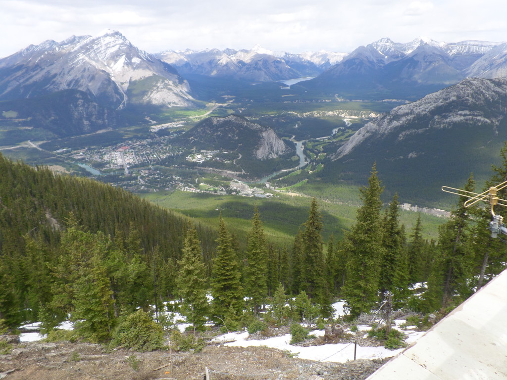 Top of Sulphur Mountain 2