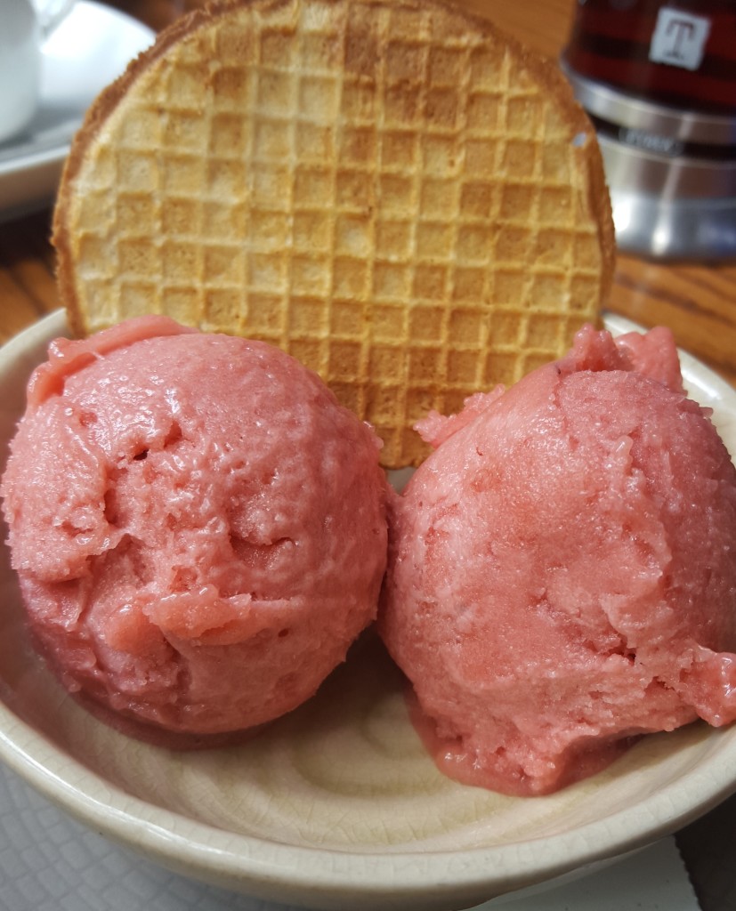 rhubarb sorbet - river cafe