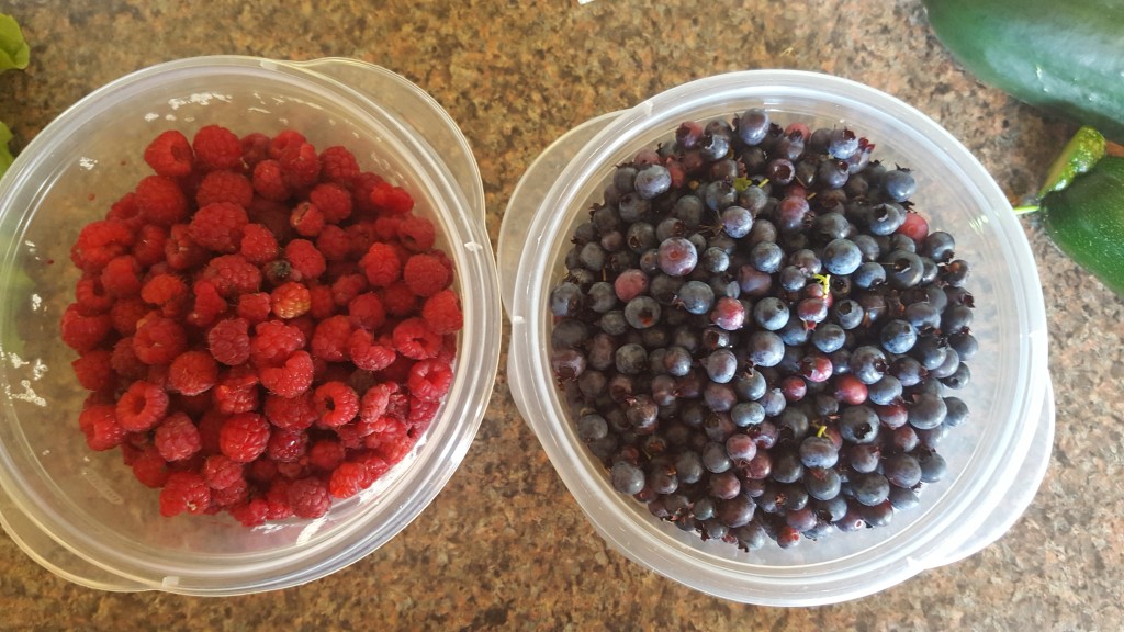 Foraged berries